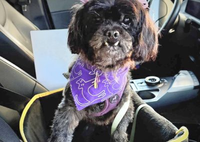 Dottie